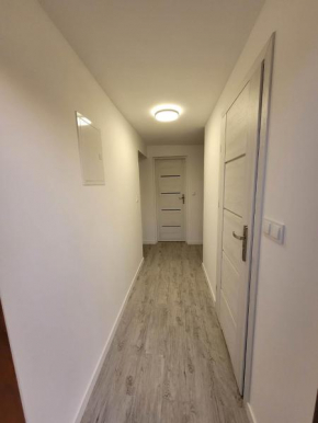Apartament Kasztanowa 2, Mosty